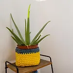 Yolo House - Corralejo